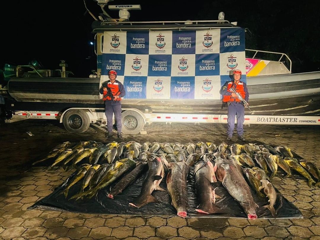 Incautados M S De Kg De Pesca Ilegal En El Rea General De La Isla