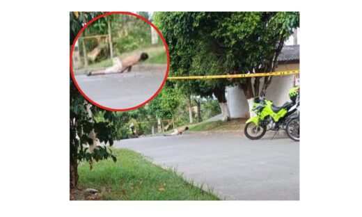 En el barrio Pablo Sexto de El Bordo, Patía, fue encontrado el cuerpo sin vida de un hombre