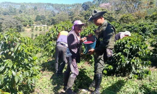 Autoridades policiales adelantan campaña de seguridad y prevención para la temporada de cosecha de café