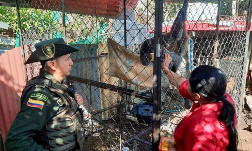 En el barrio La Primavera de Popayán la Policía ambiental recuperó un ejemplar de mono capuchino que permanecía en cautiverio